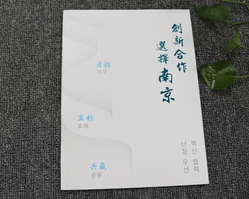 韩国、日本投资画册印刷