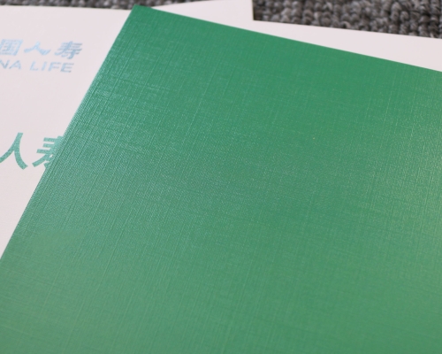 中国人寿画册印刷